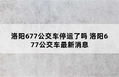 洛阳677公交车停运了吗 洛阳677公交车最新消息